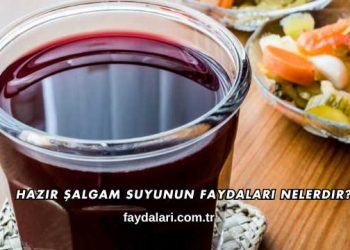 Hazır Şalgam Suyunun Faydaları Nelerdir?