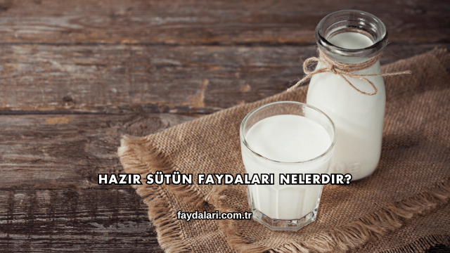 Hazır Sütün Faydaları Nelerdir?