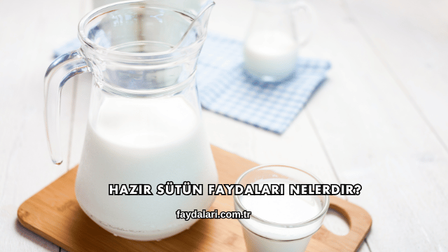 Hazır Sütün Faydaları Nelerdir?
