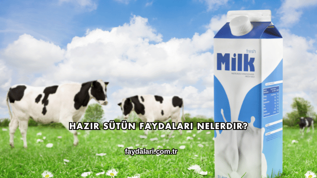 Hazır Sütün Faydaları Nelerdir?