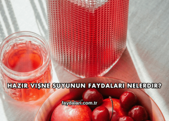Hazır Vişne Suyunun Faydaları Nelerdir?
