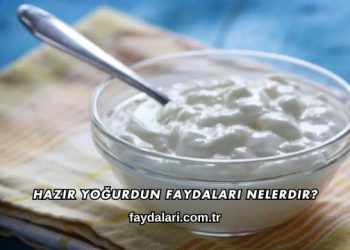 Hazır Yoğurdun Faydaları Nelerdir?
