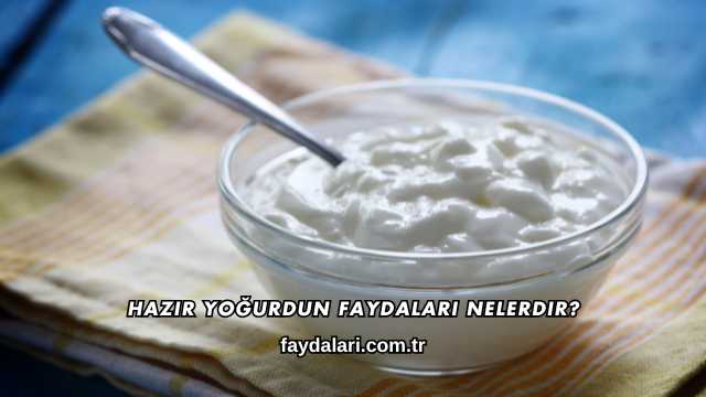 Hazır Yoğurdun Faydaları Nelerdir?