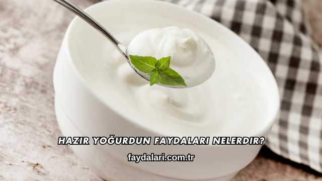 Hazır Yoğurdun Faydaları Nelerdir?