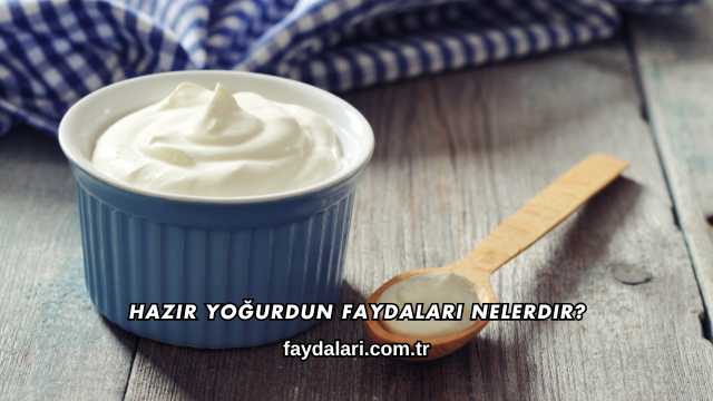 Hazır Yoğurdun Faydaları Nelerdir?