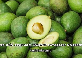 Her Gün Avokado Yemenin Faydaları Nelerdir?