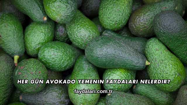 Her Gün Avokado Yemenin Faydaları Nelerdir?