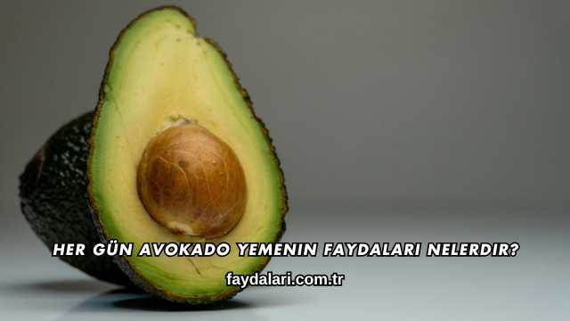 Her Gün Avokado Yemenin Faydaları Nelerdir?