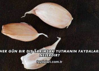 Her Gün Bir Diş Sarımsak Yutmanın Faydaları Nelerdir?