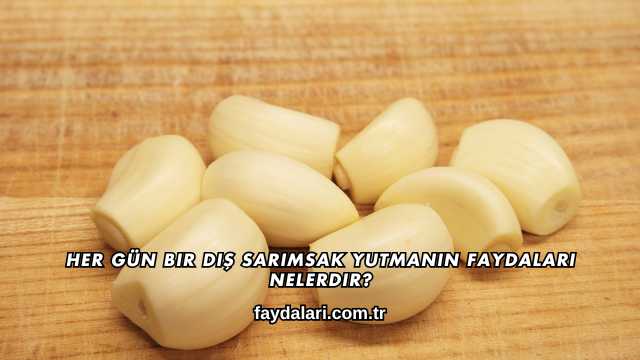 Her Gün Bir Diş Sarımsak Yutmanın Faydaları Nelerdir?