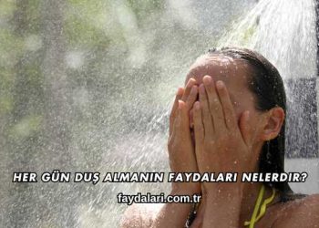 Her Gün Duş Almanın Faydaları Nelerdir?