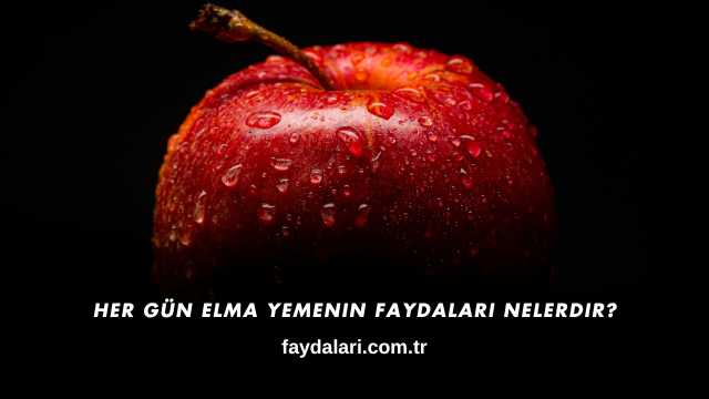 Her Gün Elma Yemenin Faydaları Nelerdir?