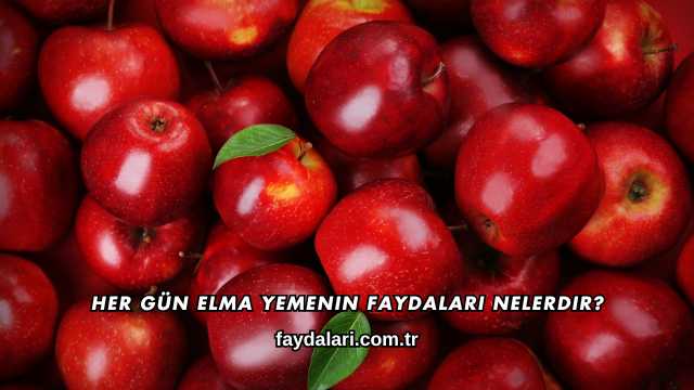 Her Gün Elma Yemenin Faydaları Nelerdir?
