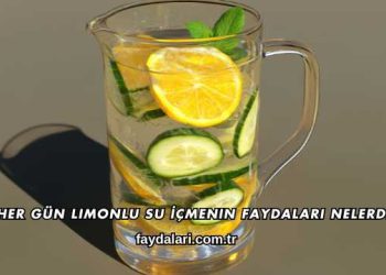 Her Gün Limonlu Su İçmenin Faydaları Nelerdir?