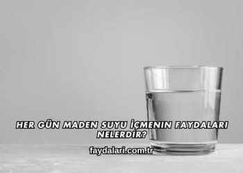 Her Gün Maden Suyu İçmenin Faydaları Nelerdir?