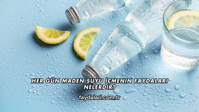 Her Gün Maden Suyu İçmenin Faydaları Nelerdir?