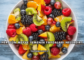 Her Gün Meyve Yemenin Faydaları Nelerdir?