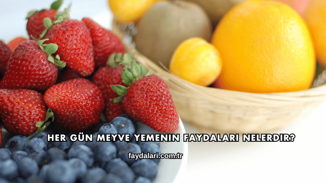 Her Gün Meyve Yemenin Faydaları Nelerdir?