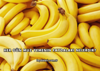 Her Gün Muz Yemenin Faydaları Nelerdir?