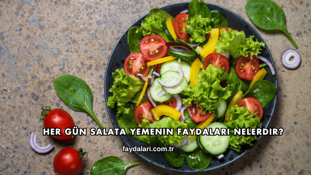 Her Gün Salata Yemenin Faydaları Nelerdir?