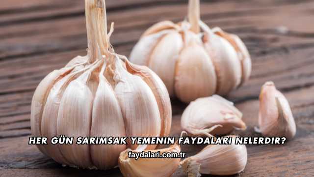 Her Gün Sarımsak Yemenin Faydaları Nelerdir?