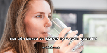 Her Gün Sirkeli Su İçmenin Faydaları Nelerdir?