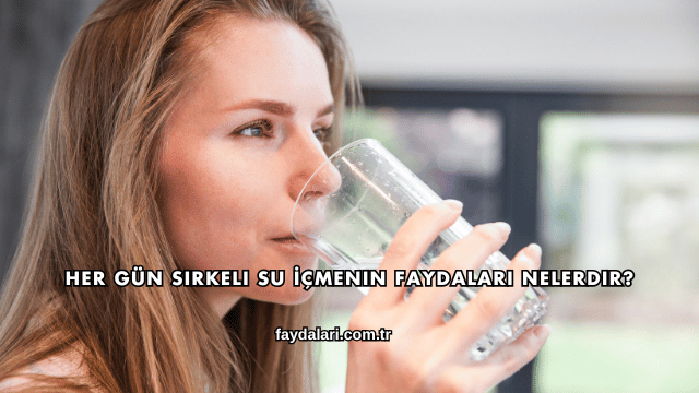 Her Gün Sirkeli Su İçmenin Faydaları Nelerdir?