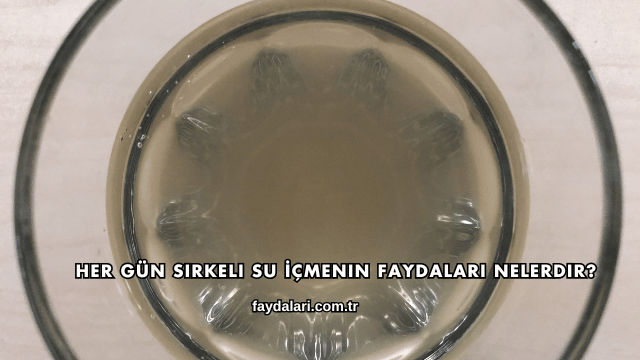 Her Gün Sirkeli Su İçmenin Faydaları Nelerdir?