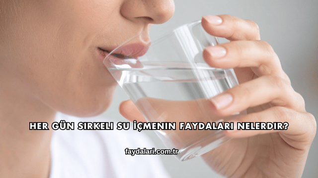 Her Gün Sirkeli Su İçmenin Faydaları Nelerdir?