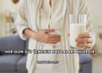 Her Gün Süt İçmenin Faydaları Nelerdir?