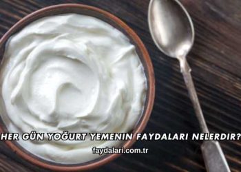 Her Gün Yoğurt Yemenin Faydaları Nelerdir?