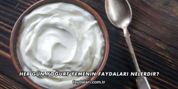 Her Gün Yoğurt Yemenin Faydaları Nelerdir?