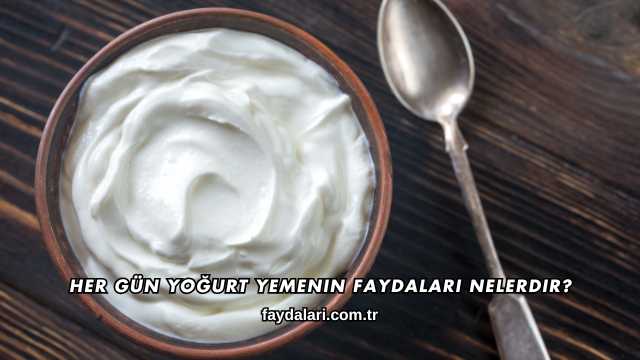 Her Gün Yoğurt Yemenin Faydaları Nelerdir?