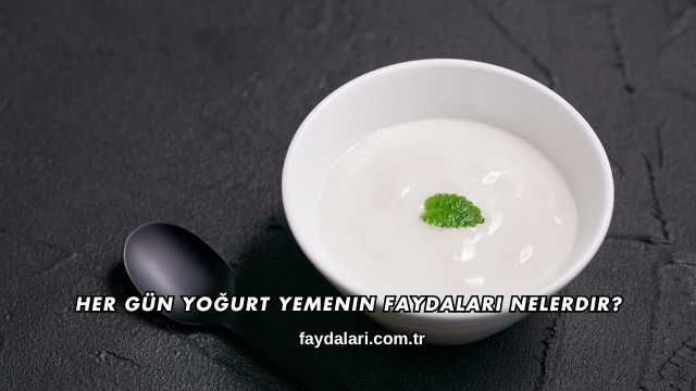 Her Gün Yoğurt Yemenin Faydaları Nelerdir?