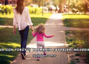 Her Gün Yürüyüş Yapmanın Faydaları Nelerdir?