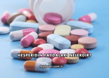 Hesperidin Faydaları Nelerdir?