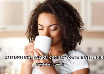 Hibiskus Nar Çiçeği Çayı Faydaları Nelerdir?