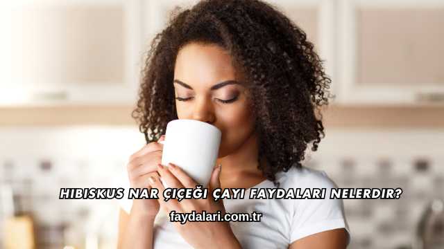 Hibiskus Nar Çiçeği Çayı Faydaları Nelerdir?