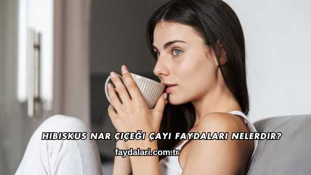 Hibiskus Nar Çiçeği Çayı Faydaları Nelerdir?