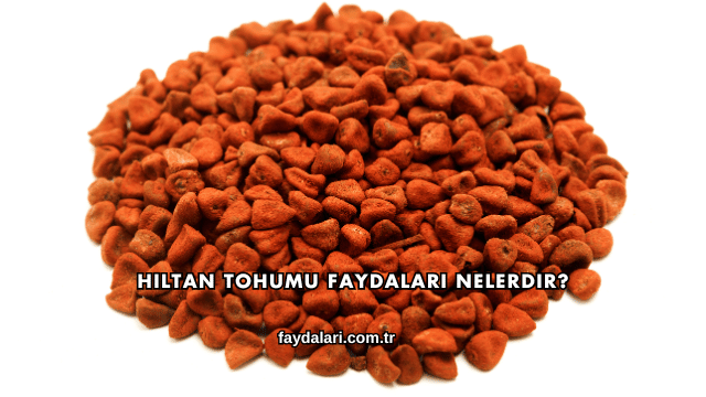 Hıltan Tohumu Faydaları Nelerdir?