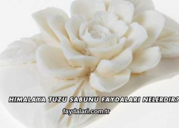 Himalaya Tuzu Sabunu Faydaları Nelerdir?