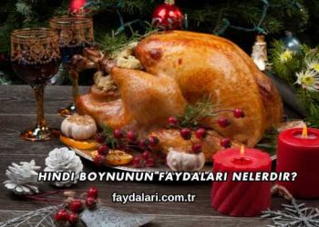 Hindi Boynunun Faydaları Nelerdir?