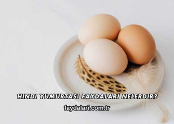 Hindi Yumurtası Faydaları Nelerdir?