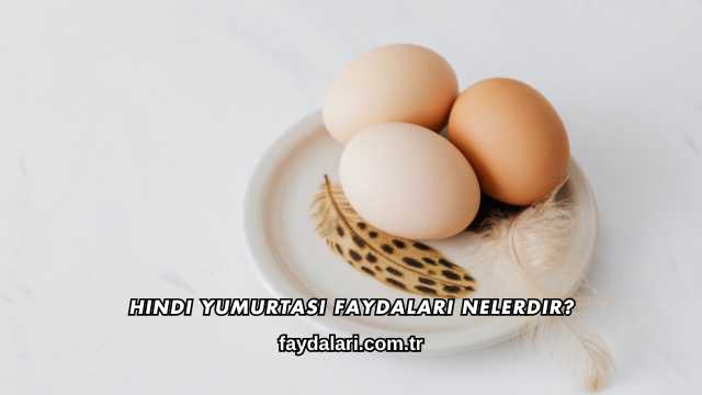 Hindi Yumurtası Faydaları Nelerdir?