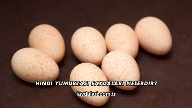 Hindi Yumurtası Faydaları Nelerdir?