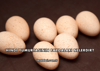 Hindi Yumurtasının Faydaları Nelerdir?