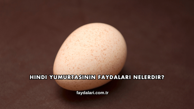 Hindi Yumurtasının Faydaları Nelerdir?