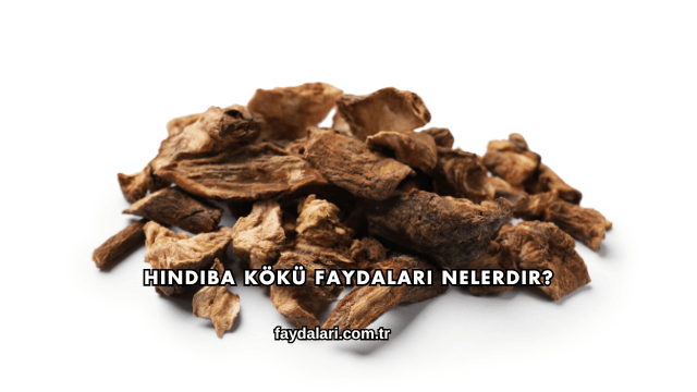 Hindiba Kökü Faydaları Nelerdir?