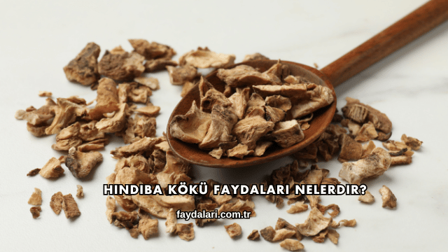 Hindiba Kökü Faydaları Nelerdir?