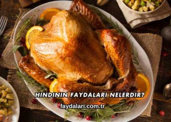 Hindinin Faydaları Nelerdir?